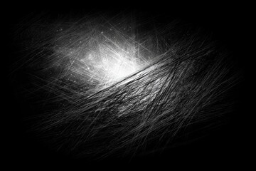 Wall Mural - abstract grayscale artwork with radiating light