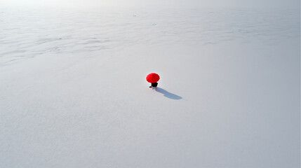 Poster - Tiny red umbrella in an endless white snowfield
