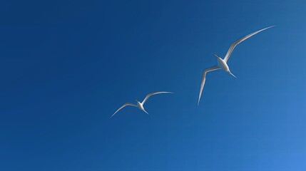 Poster - Two minimalist birds flying over a clean blue sky