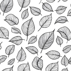 Poster - Nature's Pattern: A collection of detailed, hand-drawn leaves forms a seamless pattern, each leaf showcasing intricate textures and organic shapes, celebrating the beauty of the natural world.