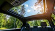 © zuni - Sunny car sunroof view of forest