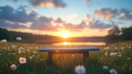 Poster - Scenic view of wooden bench in meadow filled with white daisy flowers under a vibrant sunset with light shining. The backdrop is a forest and tranquil water body, creating a peaceful and serene