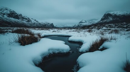 Poster - A serene winter landscape showcases a stream meandering through a snow-covered field, flanked by majestic mountains under an overcast sky. The scene is colored with muted tones, highlighting the