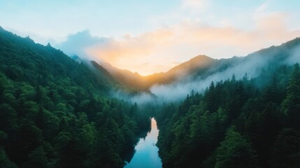 Aufkleber - Aerial view capturing a tranquil river winding through a dense, lush green forest, enveloped in ethereal mist, illuminated by a soft, warm golden sunlight filtering through the clouds, creating a