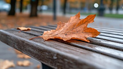 Aufkleber - Close-up captures a wet, brown leaf resting on a park bench, showcasing autumn's arrival with soft bokeh background, hinting at a serene outdoor setting in muted tones