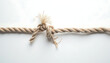© Anton Tyrone - Rope tie isolated on white