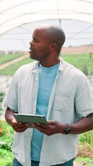 Poster - greenhouse, farming and black man with tablet, agriculture and sustainability with inspection. afric