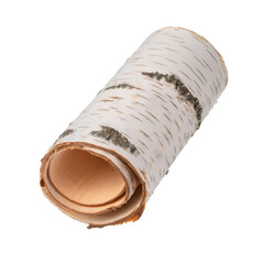 Poster - Close up of curled birch bark roll isolated on transparent background, cut out path, no shadow, floating perspective