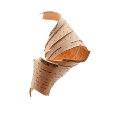 Poster - Wooden driftwood fragment with peeling bark, showcasing natural texture against transparent backdrop