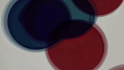 Poster - Abstract colorful circles in motion overlapping and blurring on white background