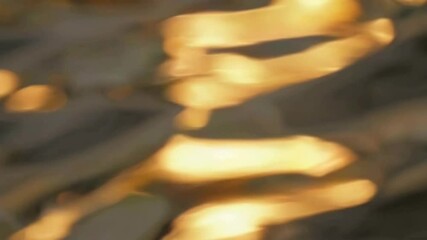 Poster - Dynamic flames swirling in slow motion hd fire background