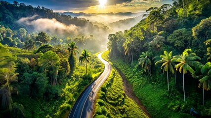 Aufkleber - Winding Road Through a Lush Tropical Forest at Sunrise