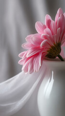 Poster - Pink gerbera daisy in white vase draped with sheer fabric, soft lighting, creating serene, delicate mood, showcasing elegance and tranquility
