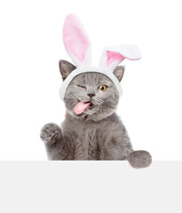 Aufkleber - Funny winking kitten wearing easter rabbits ears looks above blank white banner. Isolated on white background