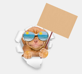 Leinwandbilder - Happy Mastiff puppy wearing mirrored sunglasses looking through the hole in white paper and showing blank placard
