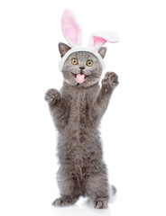 Aufkleber - Funny cat with tongue out wearing easter rabbits ears stands on hind legs. Isolated on white background
