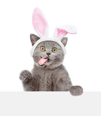 Aufkleber - Licking lips kitten wearing easter rabbits ears looks above blank white banner. Isolated on white background