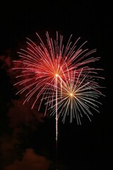 Wall Mural - fireworks in the sky with a black background
