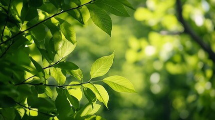 Poster - Vibrant Green Leaves Bathed in Soft Natural Light in Forest : Generative AI