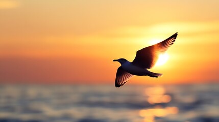 Poster - Majestic bird soaring against a vibrant sunset background by the ocean : Generative AI