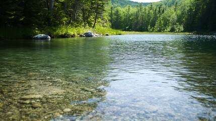 Poster - Serene Natural Landscape with Clear Water and Lush Green Forest : Generative AI