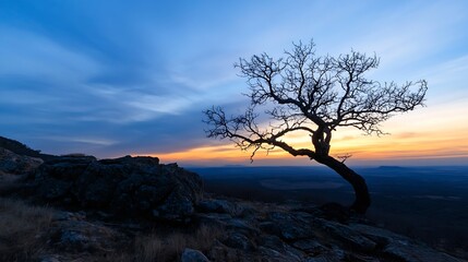 Poster - Stunning Sunset Over a Lone Tree Silhouette Against a Colorful Sky : Generative AI