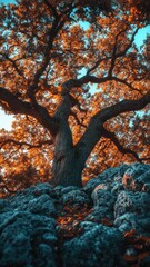 Poster - A large tree perched on top of a rocky outcropping, with lush greenery and rugged terrain in the background.
