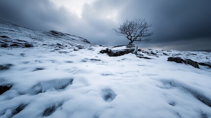 Poster - Lone tree on a snowy hillside with dark clouds creating a moody atmosphere : Generative AI