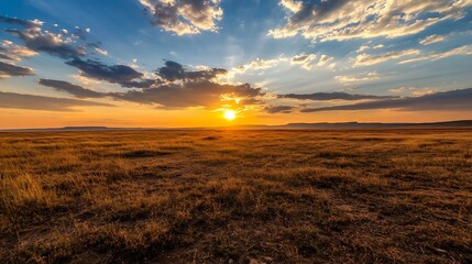 Poster - Stunning Sunrise Over Vast Golden Grassland with Cloudy Sky : Generative AI