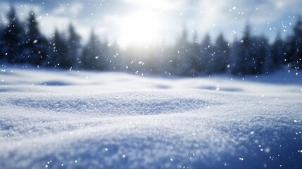 Poster - Snowy Winter Landscape with Soft Sunlight and Falling Snowflakes : Generative AI