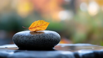 Leinwandbilder - Close-up of an orange leaf with red veins resting on a smooth gray stone, glistening with moisture. The background is softly blurred, featuring autumnal foliage in shades of yellow, orange, and