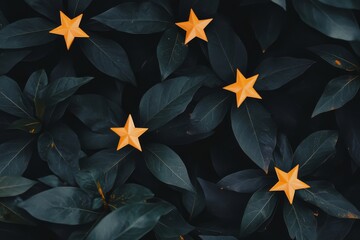 Poster - flat star rating system concept with yellow stars on dark leafy background for ui design