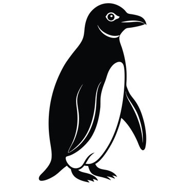 penguin vector