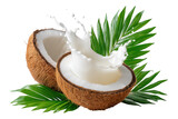 Vibrant tropical coconut half with clear juice splashing outward and fresh green palm leaves resting beside, Isolated on Transparent Background