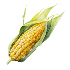 Poster - Watercolor Corncob Illustration with Delicate Husk and Golden Kernels