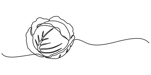 Poster - cabbage continuous one line drawing, Hand-drawn cabbage continuous outline vector. Cabbage one line art drawing, Chinese cabbage in continuous line art drawing style, Single continuous line drawing. 