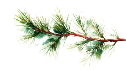 Aufkleber - Elegant evergreen bough watercolor painting isolated on black background