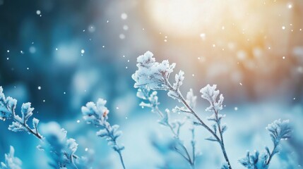 Poster - Frosty branches in winter season with soft sunlight and snowflakes