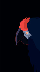 Wall Mural - minimalist parrot illustration on black background flat vector illustration
