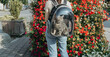 © Nataliya - One beautiful kitten in a backpack on a girl s back.