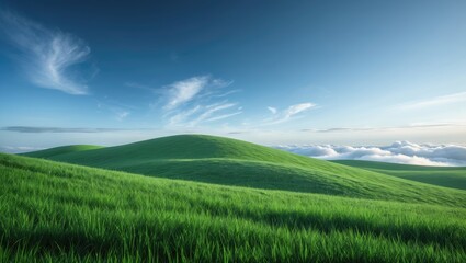 Poster - Panoramic perspective of grassy slope beneath a sky filled with clouds.