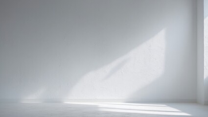 Poster - Background of white wall