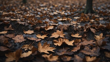 Aufkleber - Fallen autumn leaves creating a damp tapestry of muted hues and striking shapes.