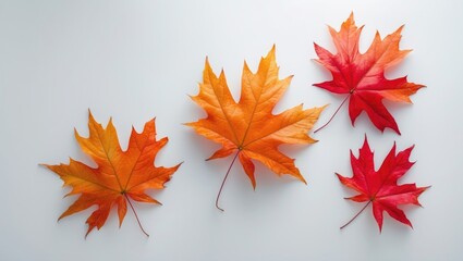 Aufkleber - Concept of autumn season featuring a maple leaf on a background