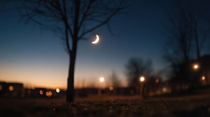 Poster - Captivating low-angle shot captures a serene night scene, featuring a crescent moon illuminating the sky above a silhouetted tree. Soft bokeh lights add a magical glow to the blurred cityscape