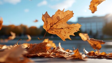 Aufkleber - A close-up low-angle shot captures the essence of autumn with falling dry leaves, illuminated by warm sunlight. The composition features bokeh background enhances the seasonal atmosphere