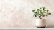© pinporn manosri - Clean indoor setting with jade plant in ceramic pot and neutral toned background with copy space