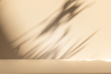 Leinwandbilder - Studio style background wall decoration presentation uses white and beige tones. with shadows cast from a nearby window, concept creating a decorative backdrop.	
