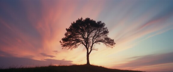 Poster - Silhouette of a Solitary Tree on a Hill at Colorful Sunset, Majestic Natural Beauty, Calming Nature Scene, Serene Panorama