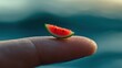 © Lesuna - Tiny watermelon slice balanced on a fingertip against a blurred ocean backdrop